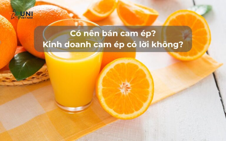 Có nên bán cam ép_ Kinh doanh cam ép có lời không