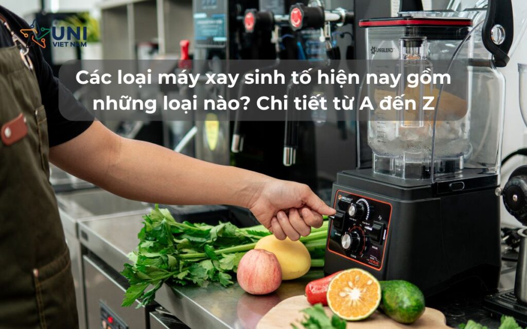 Các loại máy xay sinh tố hiện nay gồm những loại nào_ Chi tiết từ A đến Z