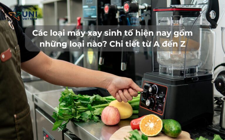 Các loại máy xay sinh tố hiện nay gồm những loại nào_ Chi tiết từ A đến Z