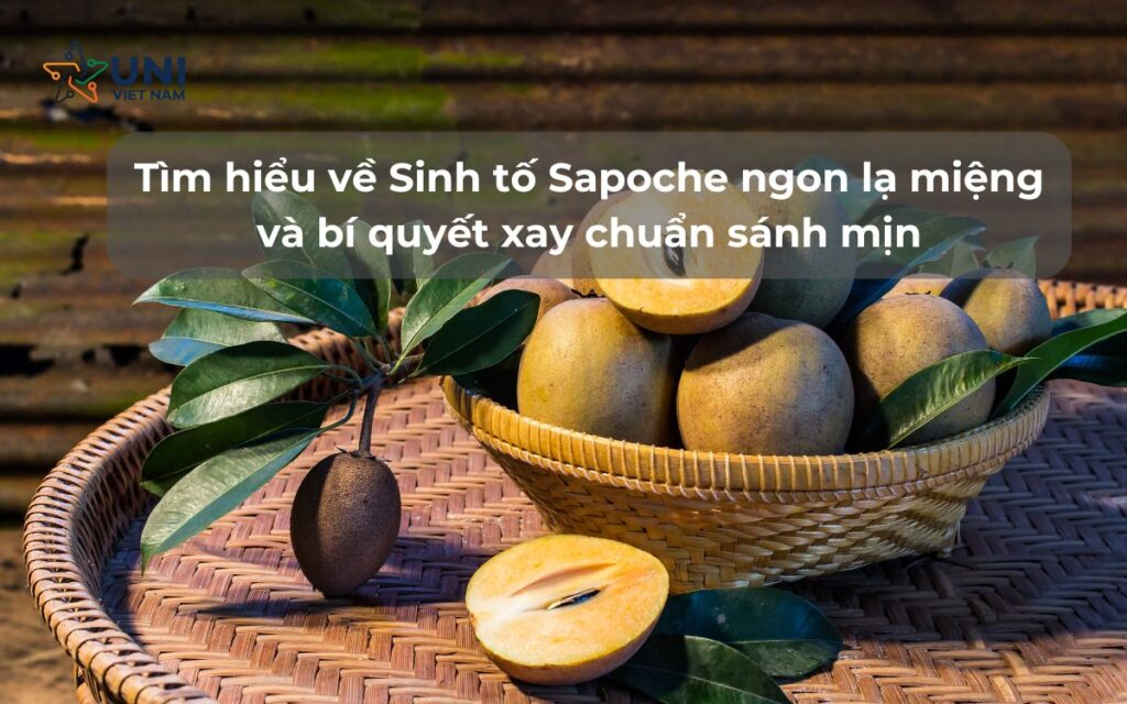Tìm hiểu về Sinh tố Sapoche ngon lạ miệng và bí quyết xay chuẩn sánh mịn