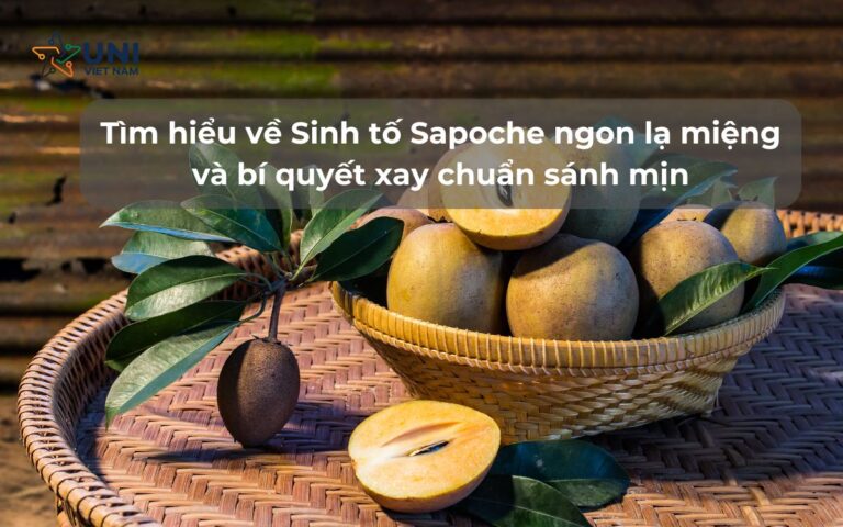 Tìm hiểu về Sinh tố Sapoche ngon lạ miệng và bí quyết xay chuẩn sánh mịn