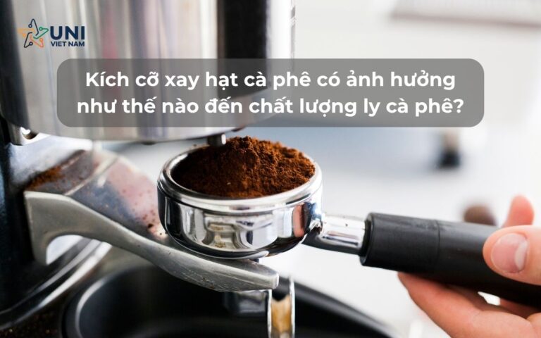 Kích cỡ xay hạt cà phê có ảnh hưởng như thế nào đến chất lượng ly cà phê