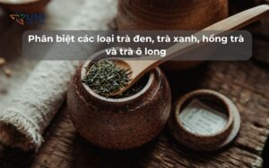 Phân biệt các loại trà đen, trà xanh, hồng trà và trà ô long