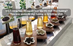 Trà hương hoa để nguội bao lâu thì mất mùi hương Tips bảo quản trà hương hoa để đạt hương vị lý tưởng nhất
