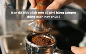 Bạn đã biết cách nén cà phê bằng tamper đúng cách hay chưa